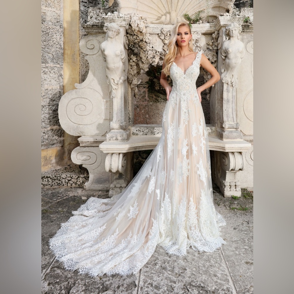 Ashley and Justin Bride Wedding Dress Gown